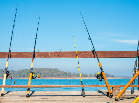 Соревнования по спортивной рыбалке