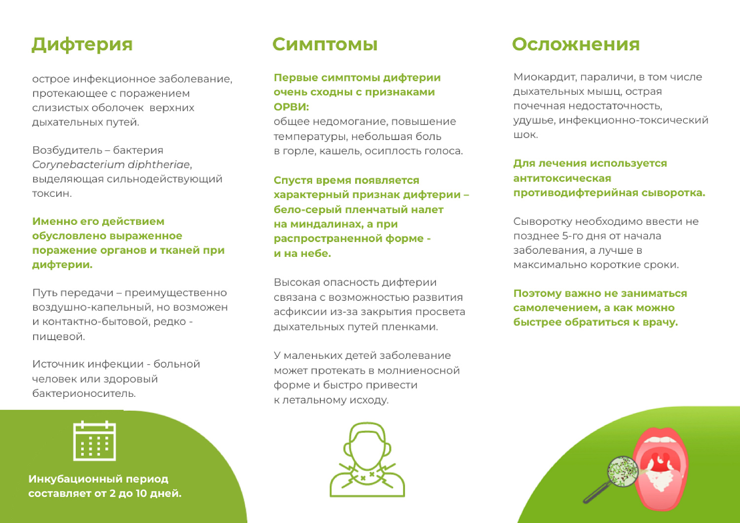  Дифтерия: болезнь, которую нельзя недооценивать